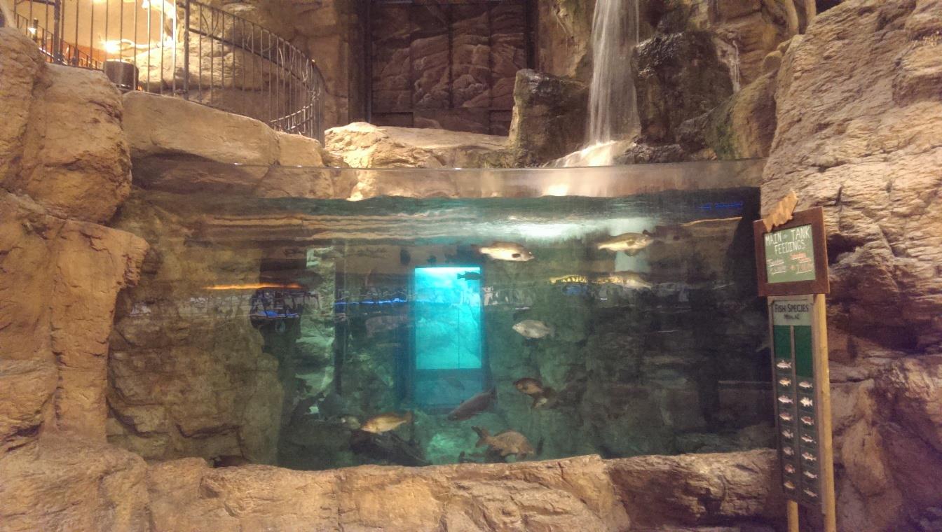 Bass Pro experience Phoenix AZ - imag0915.jpg